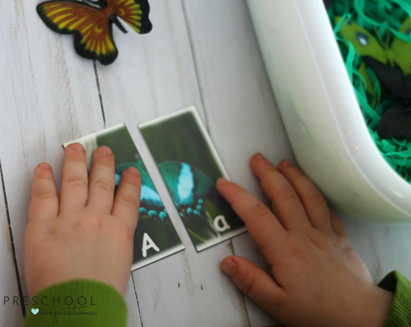 Butterfly Alphabet Match Sensory Bin play for kids
