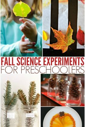 Get some great fall science activities and science experiments.