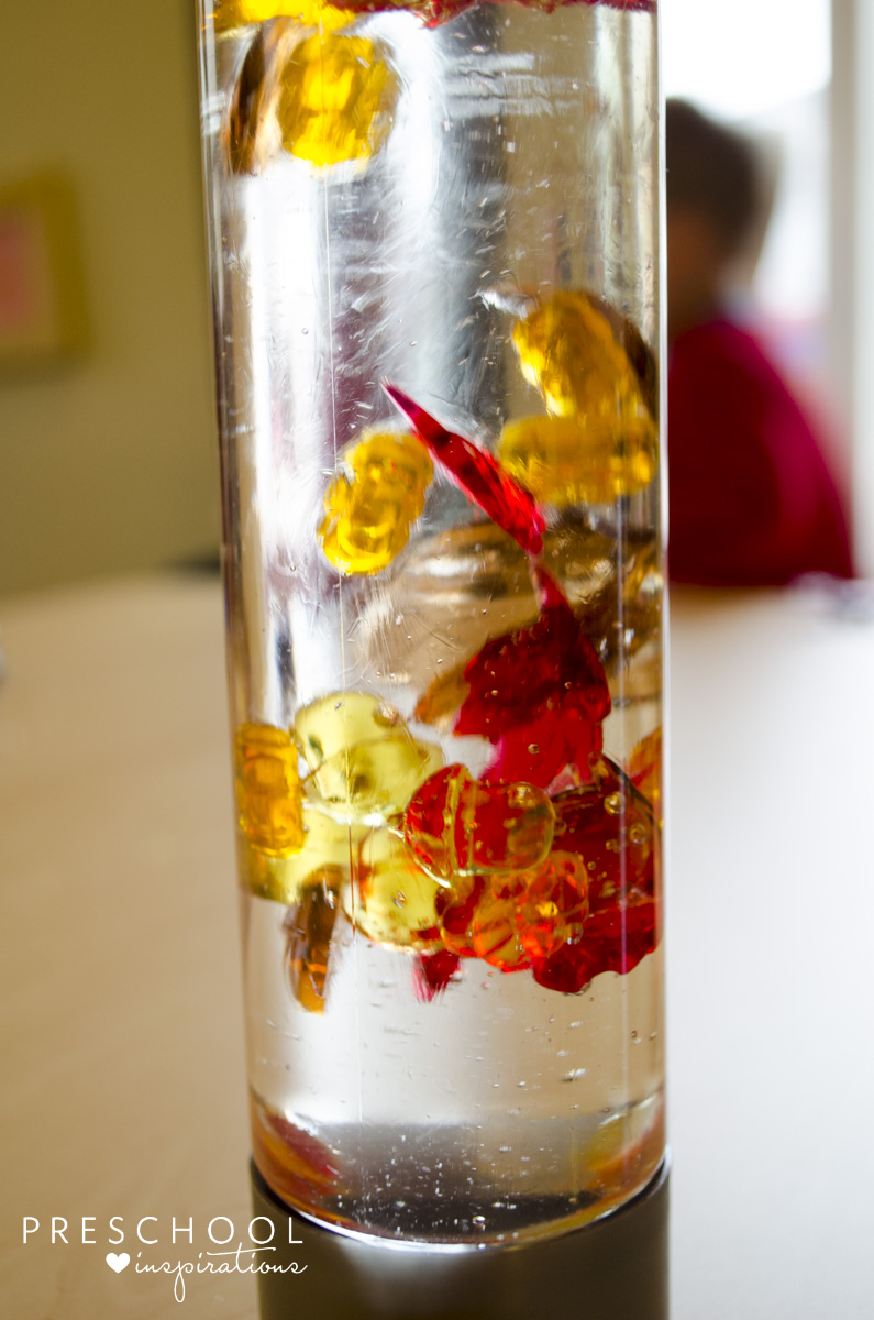 Make a fall discovery bottle with kids.