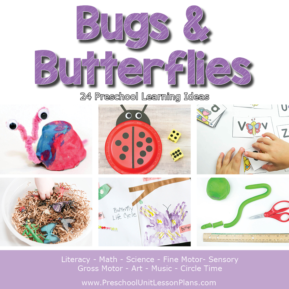 bugs and butterflies lesson plans