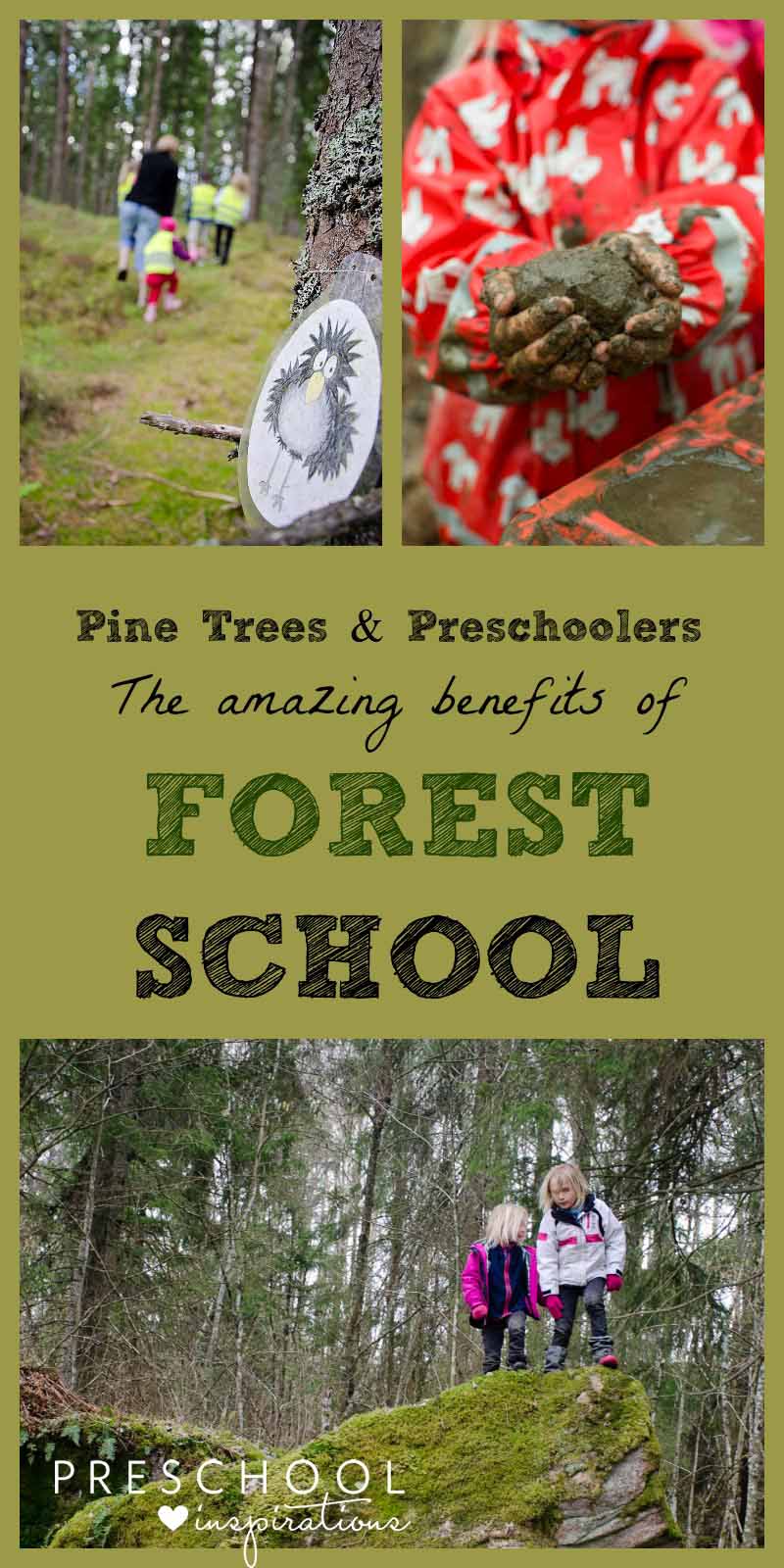 Pine Trees and Preschoolers. The Amazing Benefits of Forest School. The Scandinavian approach to outdoor learning and play is getting popular in the U.S. #preschool #prek #preschoolideas #preschoolplanning #forestschool #outdoorplay #outdoorkids