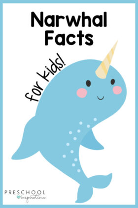 a vector image of a narwhal smiles and the text reads narwhal facts for kids