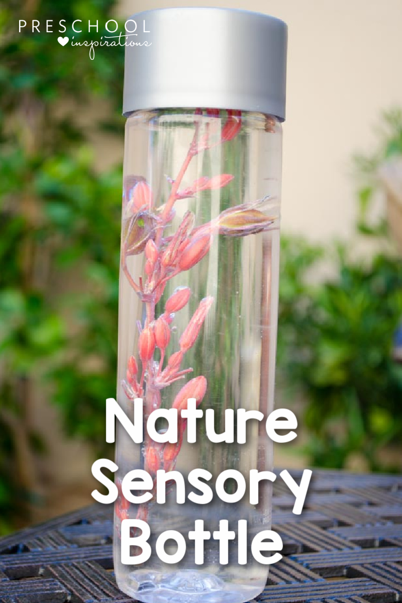 a pink desert flower in a sensory bottle with the text nature sensory bottle