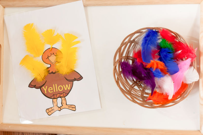 Turkey Color and Number Matching Montessori Inspired Activity by Preschool Inspirations-4