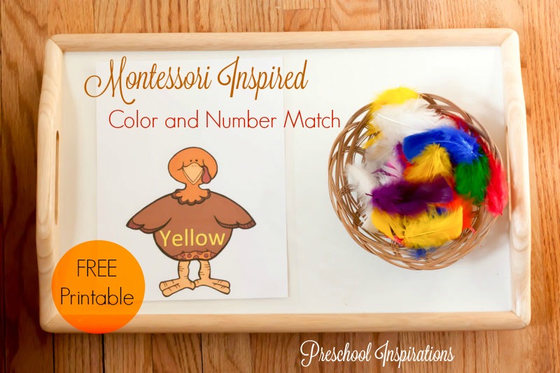 Turkey Color and Number Matching Montessori Inspired Activity with free printable by Preschool Inspirations