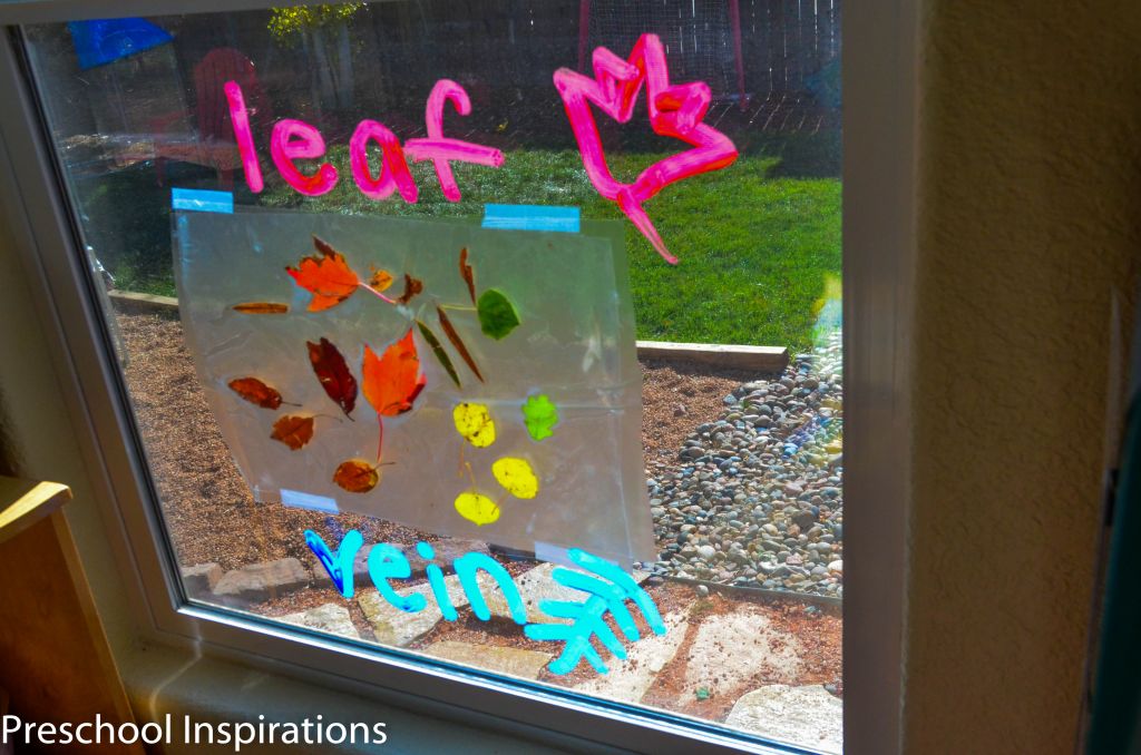 Window Wall by Preschool Inspirations-5