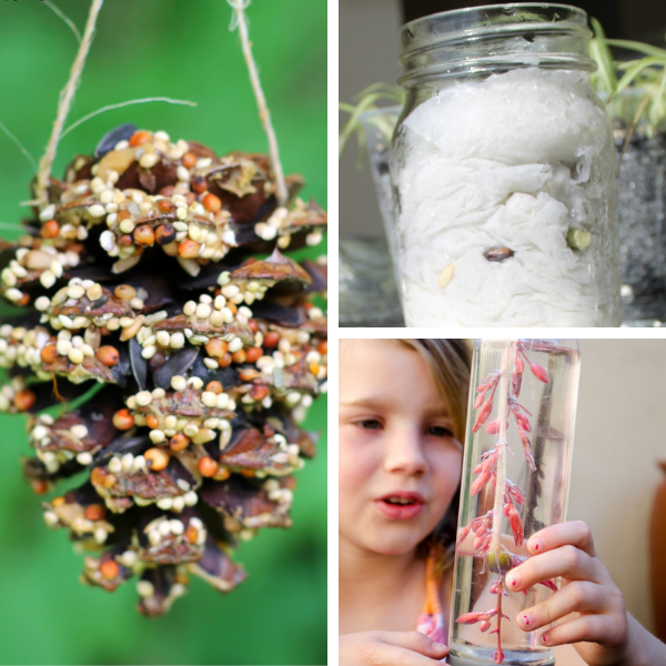 collage of three different nature Activities for preschool