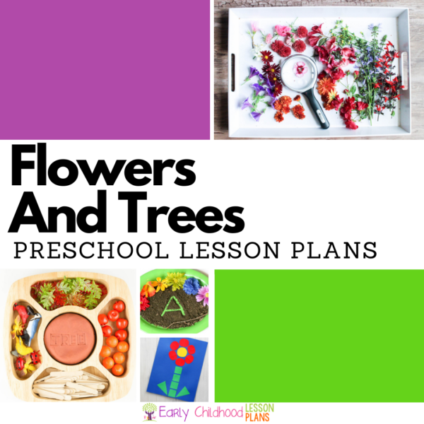 cover image for Preschool Lesson Plans Flowers and Trees